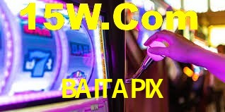 Premium Interface BAITAPIX